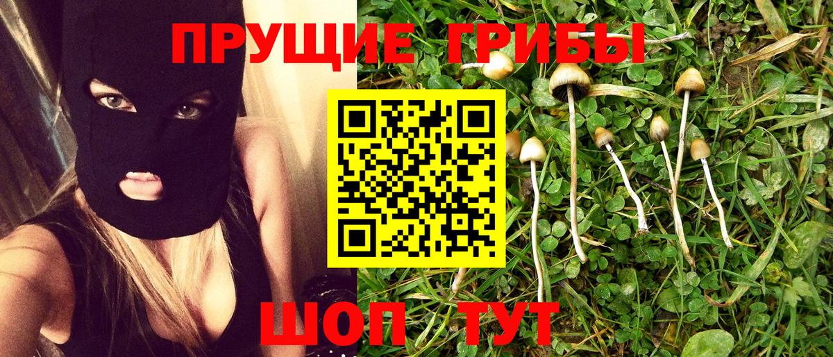 Псилоцибиновые грибы GOLDEN TEACHER Ростов-на-Дону