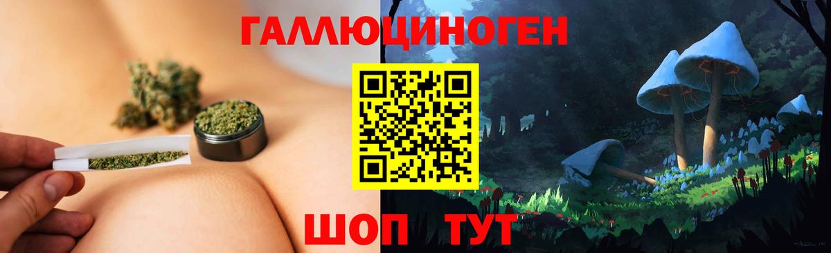 Ростов-на-Дону  Псилоцибиновые грибы Cubensis  Вход с VPN 